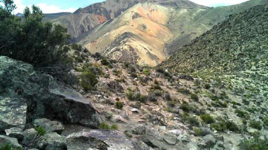 Die Suche nach El Dorado