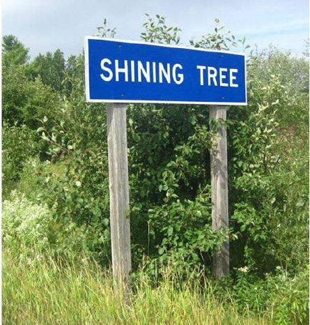 PTX - Shining Tree.jpg