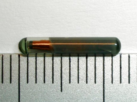 12mm LF glass transponder from TI RFID.jpg