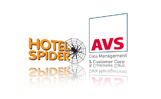 AVS Spider Logos.jpg