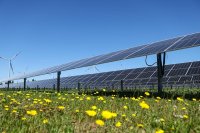 Solarpark Paillihue in Chile