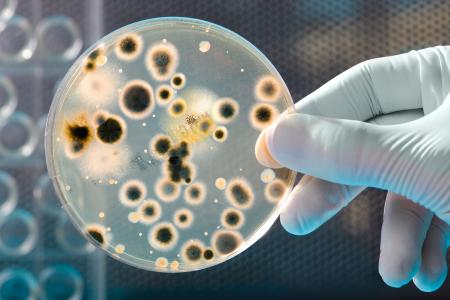 Antimikrobieller Kunststoffe können zur Reduzierung von Krankenhausinfektionen durch multiresistente Keime beitragen (Quelle: Fotolia)