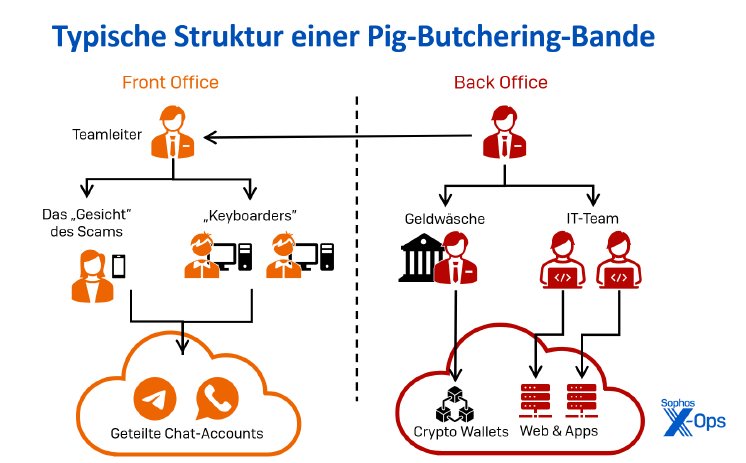 PigBucheringSystem.png