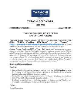 TRG - 2020 Review and 2021 Outlook FINAL.pdf