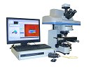 Fluoreszenz Lifetime Imaging für zellbiologische Anwendungen