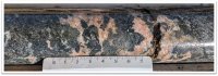 Abbildung 1: Bohrkern aus BBY-2026-006 von 8,25 bis 8,35 m. Syeno-granitische Pegmatitinjektion mit rund 15 % grobkörnigem Allanit, Teil der 0,50-m-Probe (7,95 bis 8,45 m), die 1,15 % TREO und 1.778 ppm Nd2O3 ergeben hat.