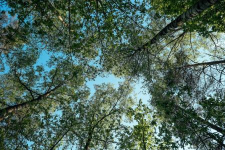 CO2 neutrale Produktion schützt die Umwelt.