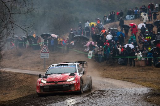 93582-2026wrc-03vorschaukenia.jpg
