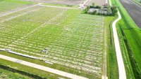 Solar park Kabeljauwbeek under construction
