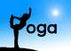 Yogis registrieren Yoga-Domains
