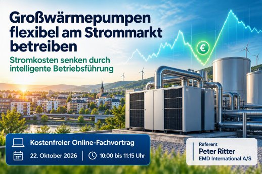 grosswaermepumpen-flexibel-strommarkt-peter-ritter-emd.png