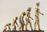 Popular misconception: Darwin never claimed that man descended from apes, but that man and ape share the same ancestors