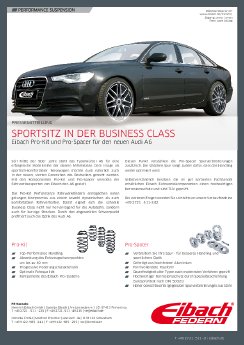 Eibach_Audi_A6_D.pdf