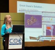 Practical Benefits of KISTERS' 3DViewStation Emerge During COE Customer Presentation