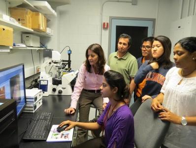 Dr. Rosa Espinosa-Marzal und Mitglieder ihrer Forschungsgruppe an der Universität Illinois in Urbana-Champaign diskutieren die mit ihrem JPK NanoWizard® Rasterkraftmikroskop erzielten Ergebnisse