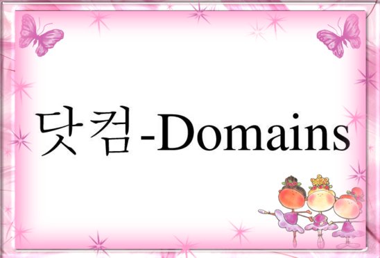 com-domain in Korean.png