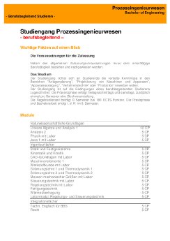 Prozessingenieurwesen_Factsheet.pdf