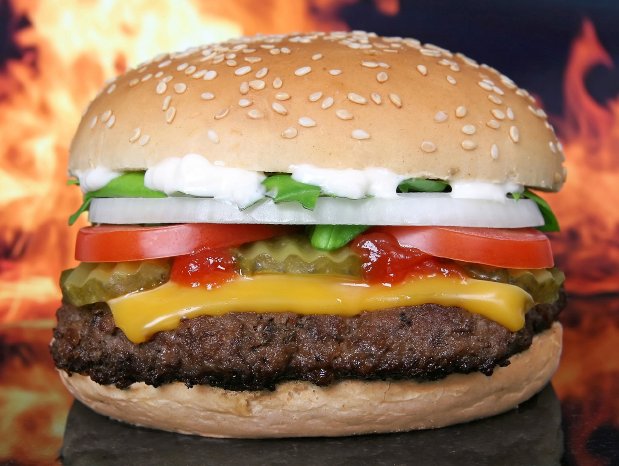 Fast Food hamburger-1238246_1280.jpg