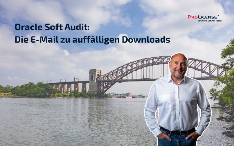 PM_18_17.08._Oracle_Soft_Audit.jpg