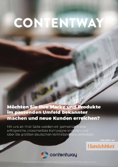 Handelsblatt MK DE 2.pdf