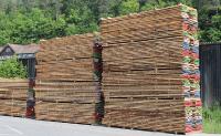 Neues Forschungsprojekt: Brettsperrholz aus modifiziertem Buchenholz