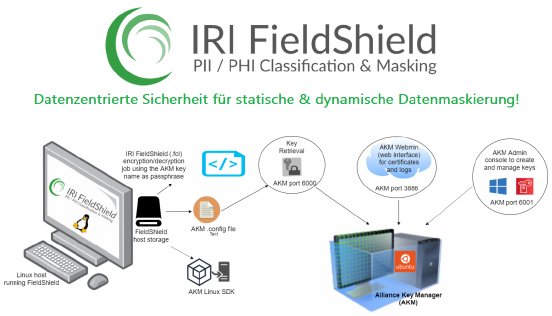 FieldShield für statische und dynamische Datenmaskierung.png