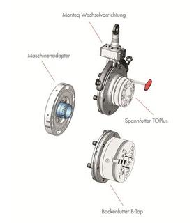 hainbuch_10082012.jpg