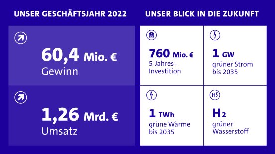 Infografik_Jahresbericht_2022.jpg
