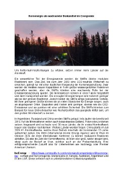 21.08.2024 Kernenergie als wachsender Bestandteil im Energiemix.pdf