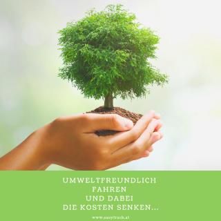 Umwelt und unser Beitrag dazu als Easytrack