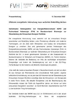 2022.12.13 Gemeinsame PM Holzbiomasse.pdf