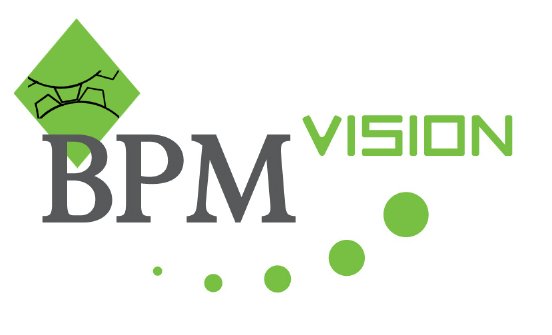 Logo BPM-Vision.jpg