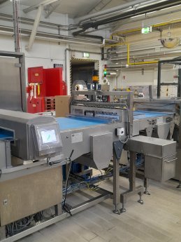 Transportband mit Tunnel-Metall-Detektor und Probe-Entnahmestation.jpg