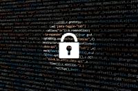 The security of domains and websites is critical...
