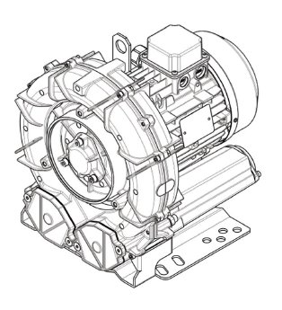 e05MS_MOR (1).jpg