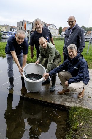 PM_WE25_25_Aalbesatz LAV + WEMAG in Schwaan_Foto 1 WEMAG Stephan Rudolph-Kramer_IMG_7580.jpg