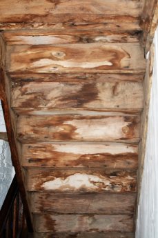 10-Haupthaus_Wasserspuren_OG_Treppe_DSC_8624_az.JPG