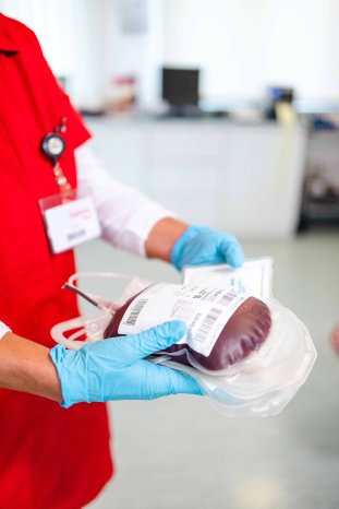 Zu Ostern Leben retten und Lebensqualität schenken 2.jpg