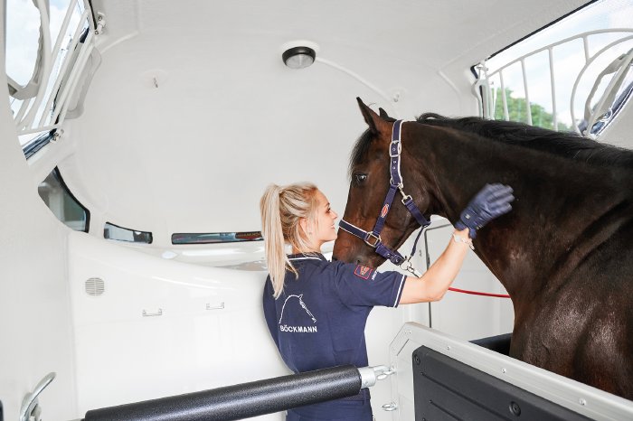 Böckmann_Pferdeanhänger_innovatives-Lichtkonzept.png