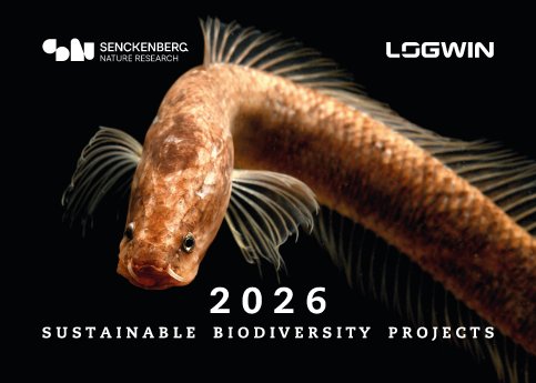Logwin_Pressebild_November_2025_Fotokalender_nachhaltigkeit-Senckenberg.jpg