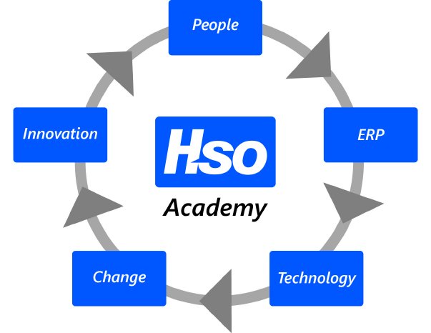 HSO Academy.jpg