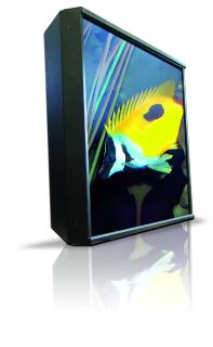 NB42 006 side fish