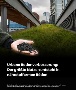 Abbildung.PNG
