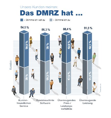 dmrz_infografik_auswertung_marke_RZ_2.png