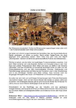 02.02.2021 Zocker an der Börse.pdf