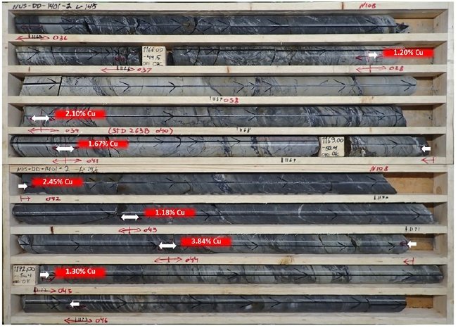 Swiss Resource2.jpg