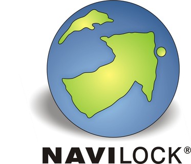 Logo 1