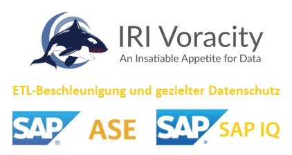 End-to-End Management von SAP IQ und SAP ASE.png