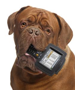 Hund mit allegroLS