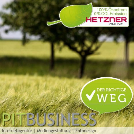 PIT Business Green Economy.jpg